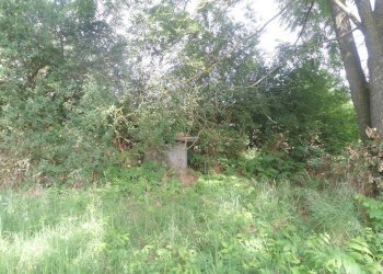 giardino - Rustico via Lame, Argelato - foto 50