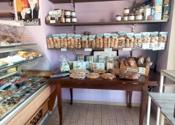 Interno non residenziale - Pasticceria via 20 Settembre, Montegrosso d'Asti - foto 6