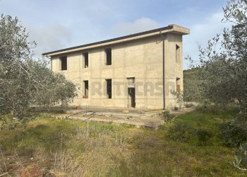 IMG_4339.jpg - Villa Mazara del Vallo - foto 3