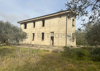 IMG_4340.jpg - Villa Mazara del Vallo - foto 4