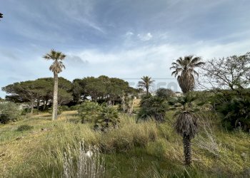 IMG_4345.jpg - Villa Mazara del Vallo - foto 9