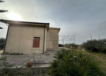 IMG_4347.jpg - Villa Mazara del Vallo - foto 11