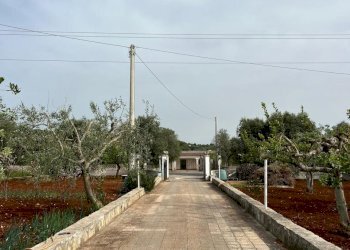 PHOTO-2024-04-15-16-28-34 3.jpg - Villa Strada Provinciale 22sp 22, Ostuni - foto 6