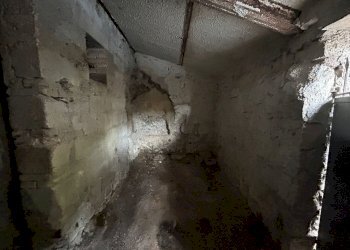 IMG-20240410-WA0004.jpg - Magazzino Via San Sebastiano 34, Morlupo - foto 13