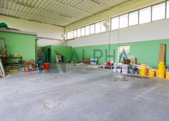 vista - Capannone via del Lavoro, Gambettola - foto 9