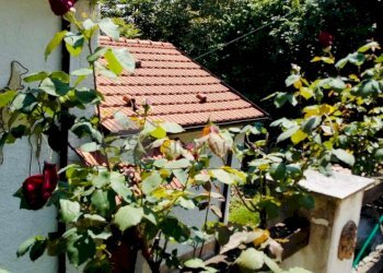 WhatsApp Image 2025-12-05 at 10.32.00 (6).jpeg - Porzione di casa SP20 17, Tresana - foto 14