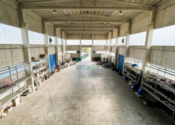 interno - Locale Commerciale Via delle Petunie 3, Modugno - foto 1