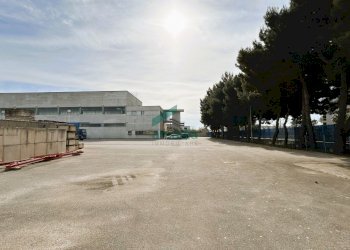 esterno - Locale Commerciale Via delle Petunie 3, Modugno - foto 20