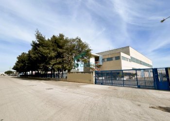 esterno - Locale Commerciale Via delle Petunie 3, Modugno - foto 26