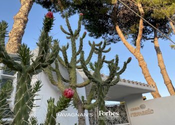 Villa Sarroch - foto 26