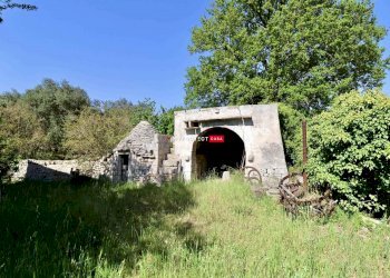 Trullo C.da Figazzano, Cisternino - foto 3