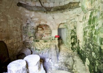 Trullo C.da Figazzano, Cisternino - foto 22