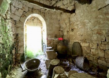 Trullo C.da Figazzano, Cisternino - foto 23