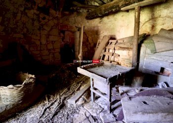 Trullo C.da Figazzano, Cisternino - foto 24