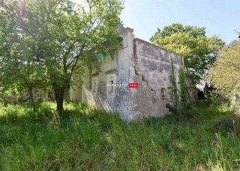 Trullo C.da Figazzano, Cisternino - foto 29