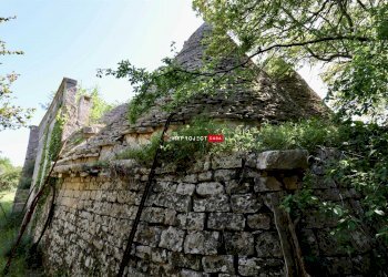 Trullo C.da Figazzano, Cisternino - foto 30