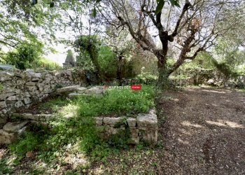 Trullo C.da Figazzano, Cisternino - foto 31