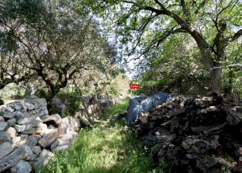 Trullo C.da Figazzano, Cisternino - foto 32