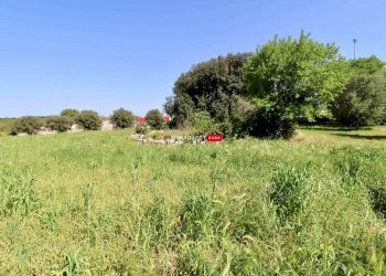 Trullo C.da Figazzano, Cisternino - foto 34