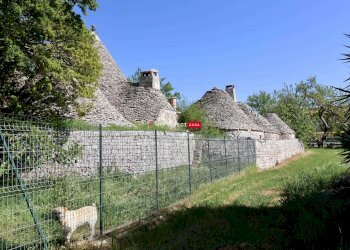 Trullo C.da Figazzano, Cisternino - foto 35