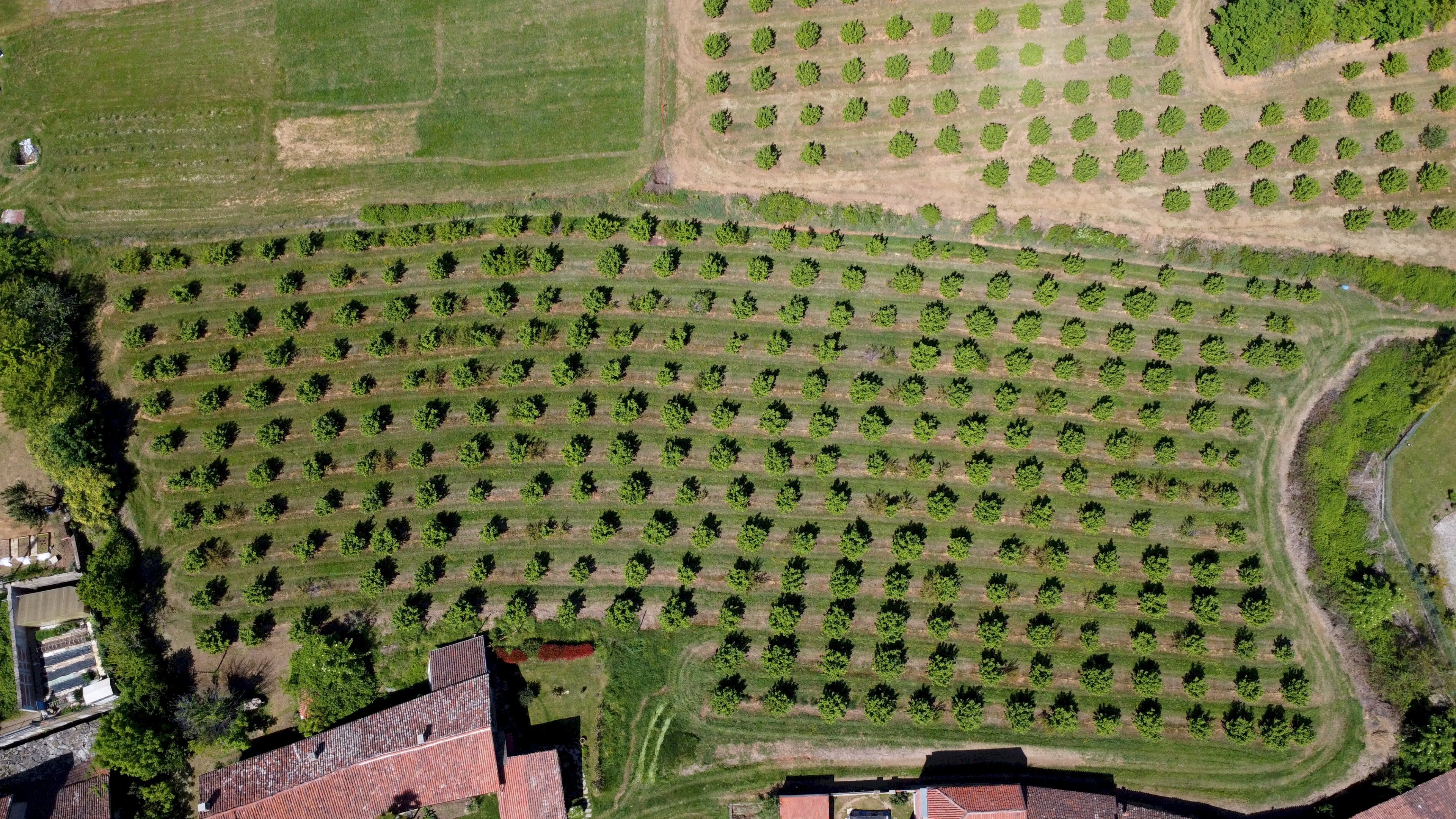 Agricultural land Salita al Castello, Verzuolo - photo 2