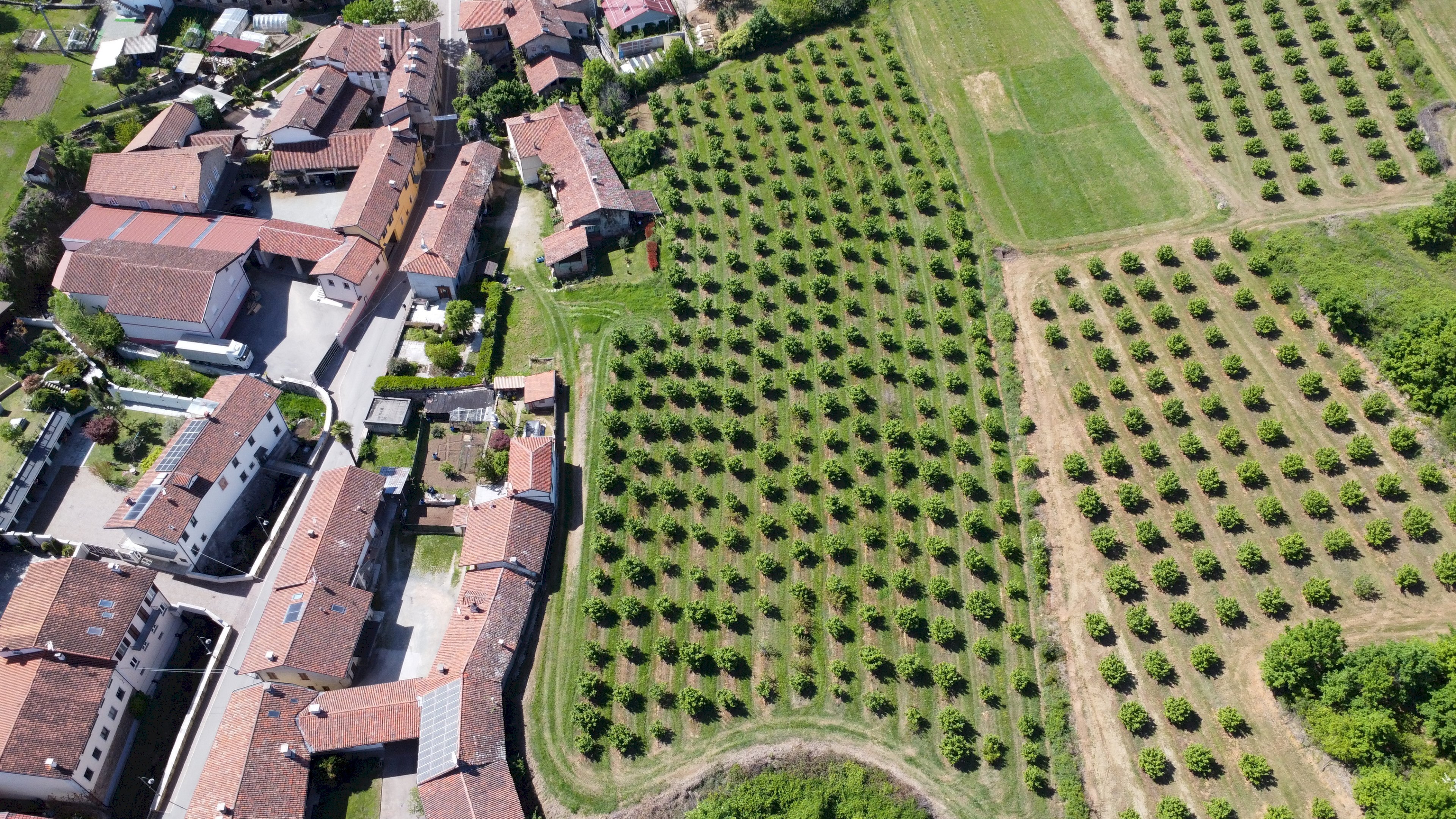 Agricultural land Salita al Castello, Verzuolo - photo 3