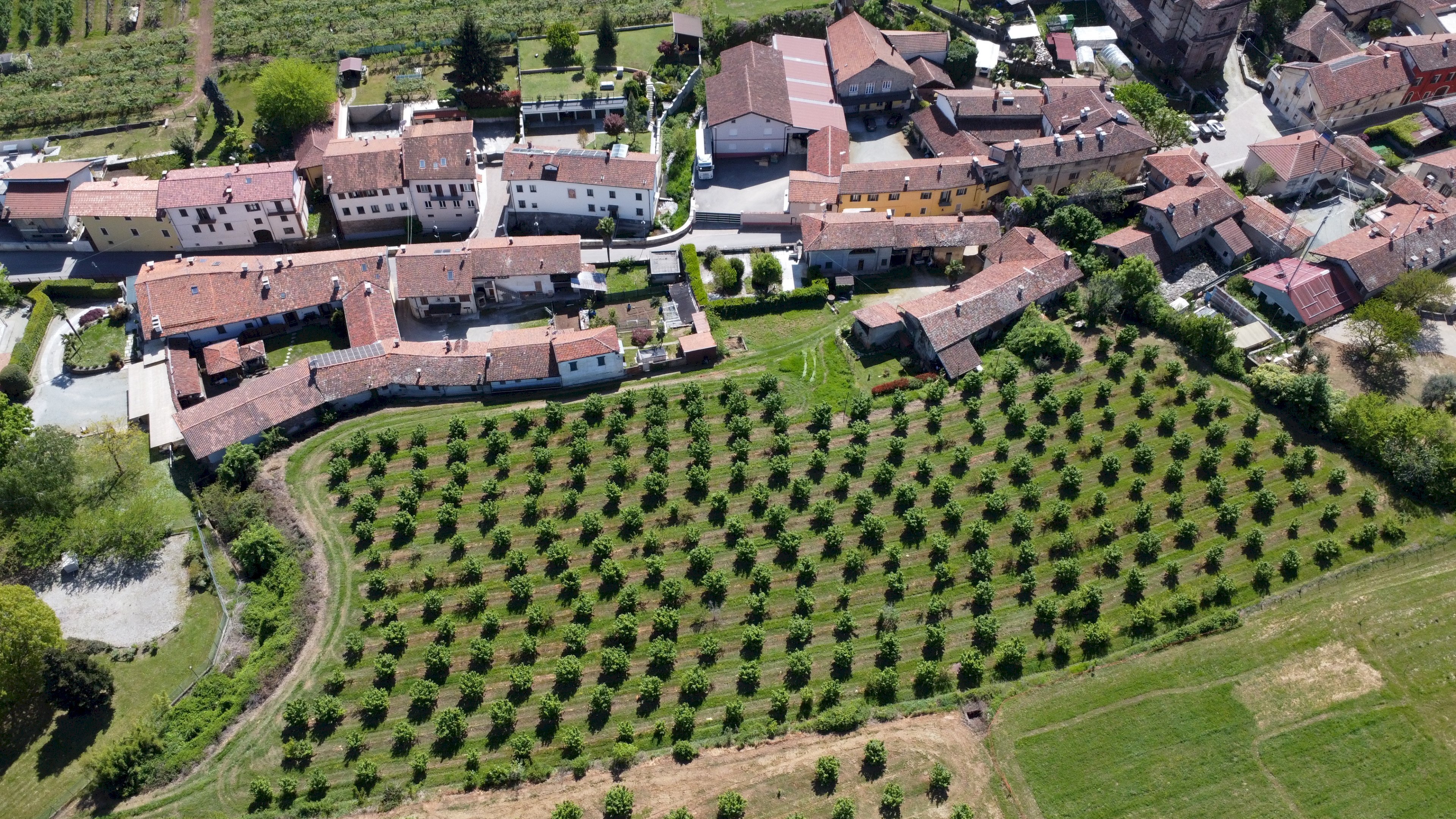 Agricultural land Salita al Castello, Verzuolo - photo 1