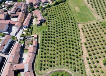 Agricultural land Salita al Castello, Verzuolo - photo 3