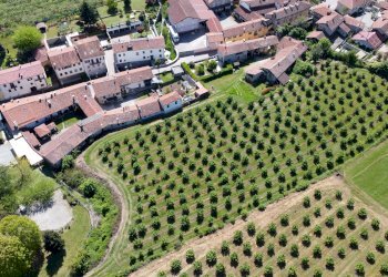 Agricultural land Salita al Castello, Verzuolo - photo 5