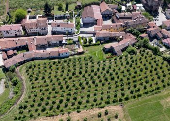 Agricultural land Salita al Castello, Verzuolo - photo 1