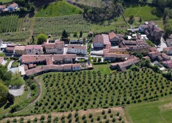 Agricultural land Salita al Castello, Verzuolo - photo 6