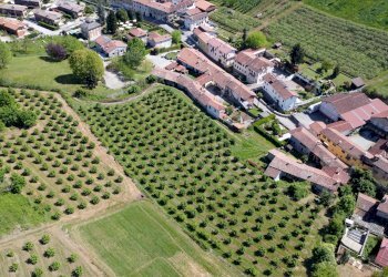 Agricultural land Salita al Castello, Verzuolo - photo 7
