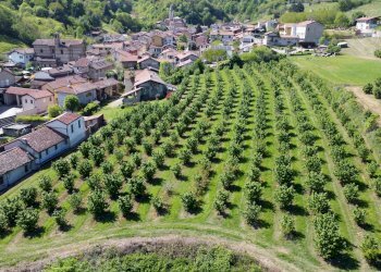 Agricultural land Salita al Castello, Verzuolo - photo 10