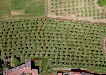 Agricultural land Salita al Castello, Verzuolo - photo 13