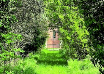 Villa Ferrara (zona Contrapò) - foto 17