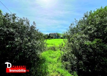 Villa Ferrara (zona Contrapò) - foto 19