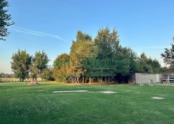 Villa Sala Bolognese - foto 10