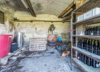 Rustic Via Carpi Ravarino, Soliera - photo 8