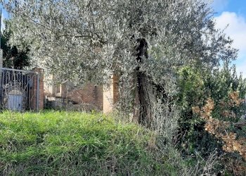 dettagli - Casale Strada San Maria della Collina 108, Perugia - foto 16