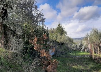 dettagli - Casale Strada San Maria della Collina 108, Perugia - foto 17