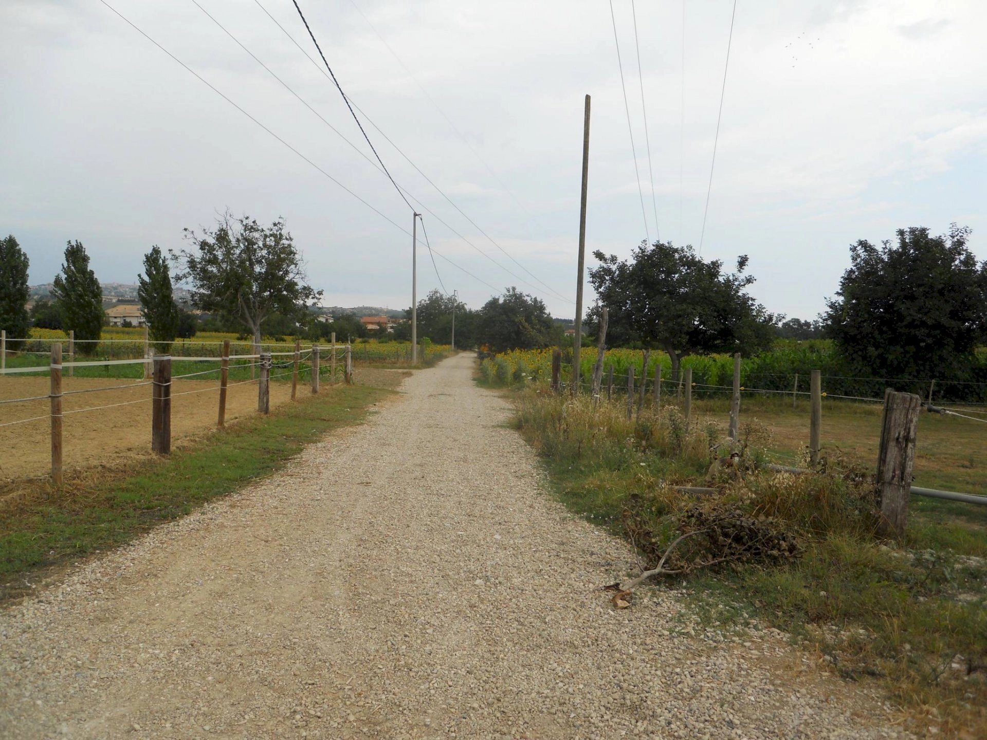 Terreno agricolo via delle piane collecorvino, Collecorvino - foto 2