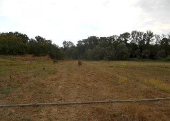 Terreno agricolo via delle piane collecorvino, Collecorvino - foto 5