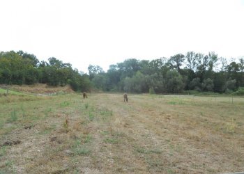 Terreno agricolo via delle piane collecorvino, Collecorvino - foto 6