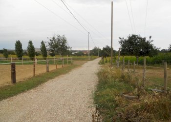 Terreno agricolo via delle piane collecorvino, Collecorvino - foto 7
