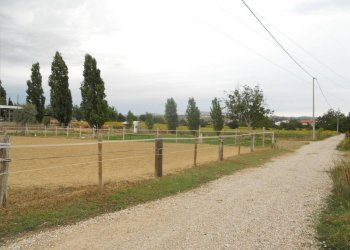 Terreno agricolo via delle piane collecorvino, Collecorvino - foto 8
