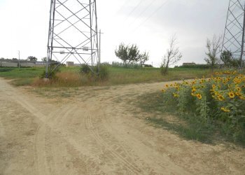 Terreno agricolo via delle piane collecorvino, Collecorvino - foto 9