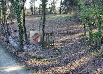 Terreno agricolo Villorba - foto 2