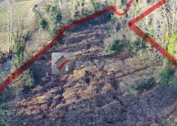 Terreno agricolo Villorba - foto 3