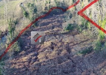 Terreno agricolo Villorba - foto 5