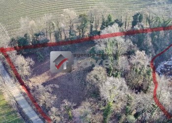 Terreno agricolo Villorba - foto 7